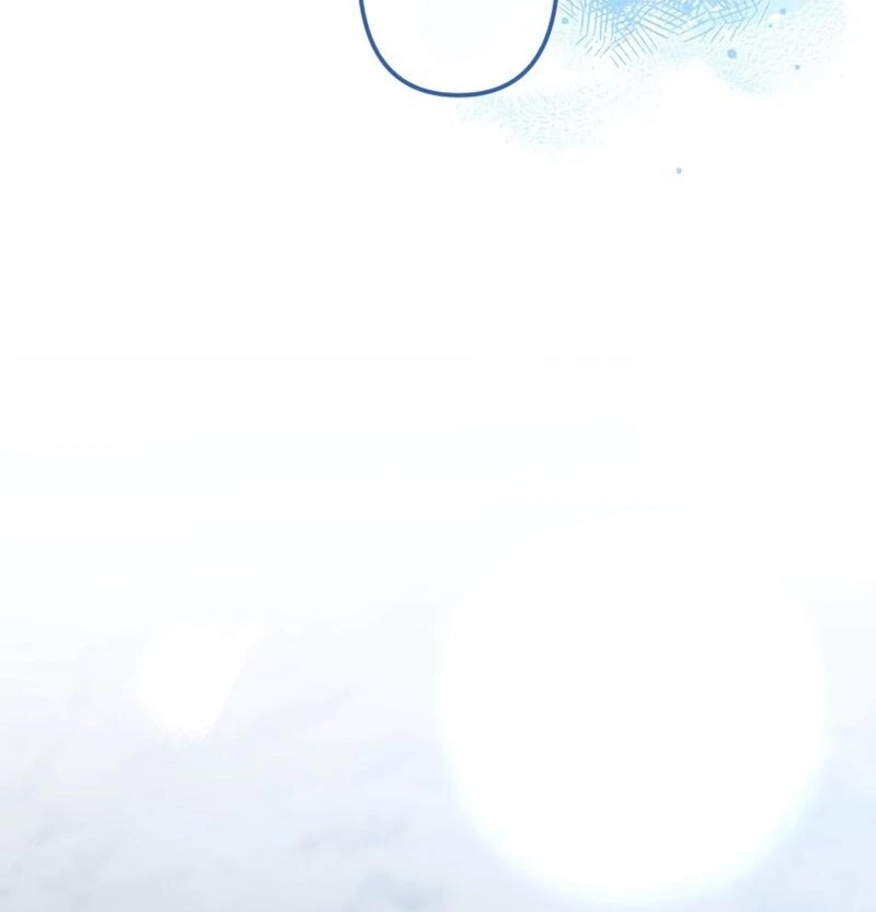 67008409 800 833 14888