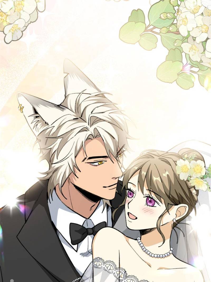 80990445 800 1067 91626